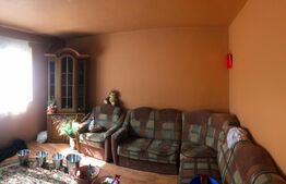 Casa individuala cu 4 camere, teren 2906 mp, la 3 km de Gaesti