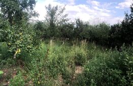 Casa individuala cu 4 camere, teren 2906 mp, la 3 km de Gaesti