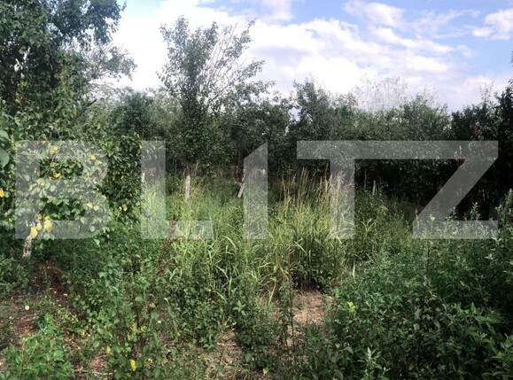 Casa de vânzare 4 camere Dragodana - 155835CV | BLITZ Târgoviște | Poza11