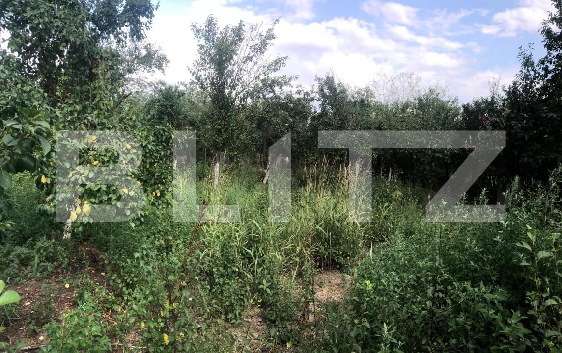 Casa de vânzare 4 camere Dragodana - 155835CV | BLITZ Târgoviște | Poza11