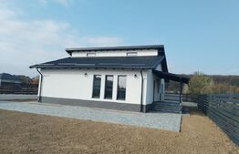 Vilă individuală pe parter Priseaca