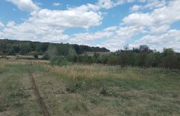 Vilă individuală pe parter Priseaca