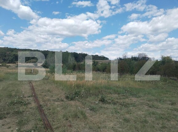 Casa de vânzare 4 camere Priseaca - 156529CV | BLITZ Târgoviște | Poza16