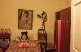 Casa, 285mp, zona centrala 