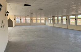 Spatiu comercial,750mp,Moreni