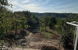 Comision 0 la cumparare! Vila/Casa cu vedere panoramica, sat Manga