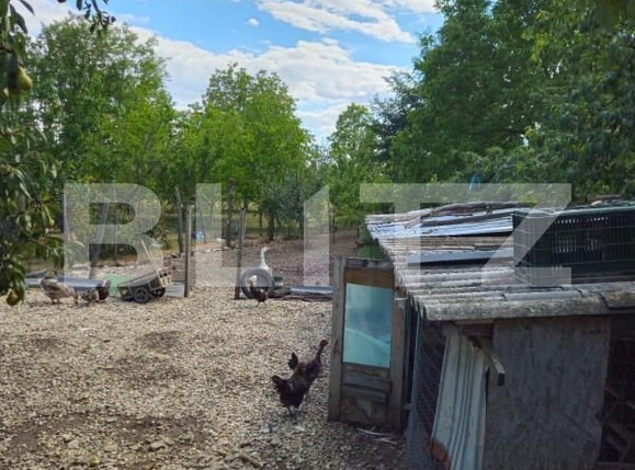 Casa de vânzare 4 camere Racari - 157482CV | BLITZ Târgoviște | Poza5