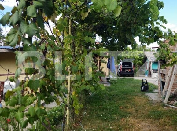 Casa de vânzare 4 camere Racari - 157482CV | BLITZ Târgoviște | Poza19