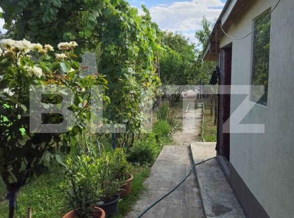 Casa de vânzare 4 camere Racari - 157482CV | BLITZ Târgoviște | Poza23