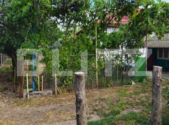 Casa de vânzare 4 camere Racari - 157482CV | BLITZ Târgoviște | Poza7