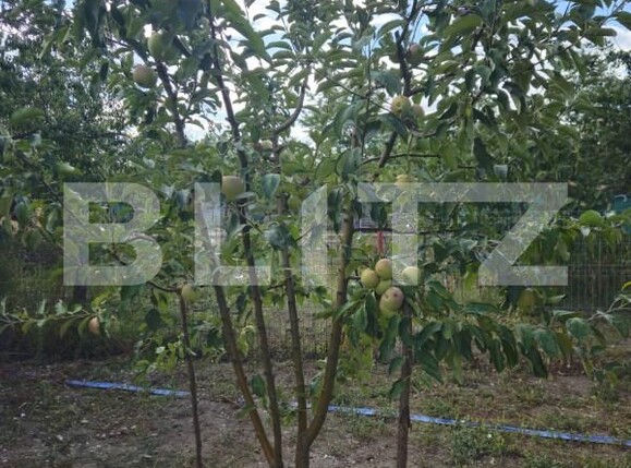 Casa de vânzare 4 camere Racari - 157482CV | BLITZ Târgoviște | Poza22