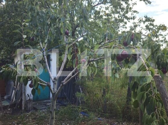 Casa de vânzare 4 camere Racari - 157482CV | BLITZ Târgoviște | Poza18