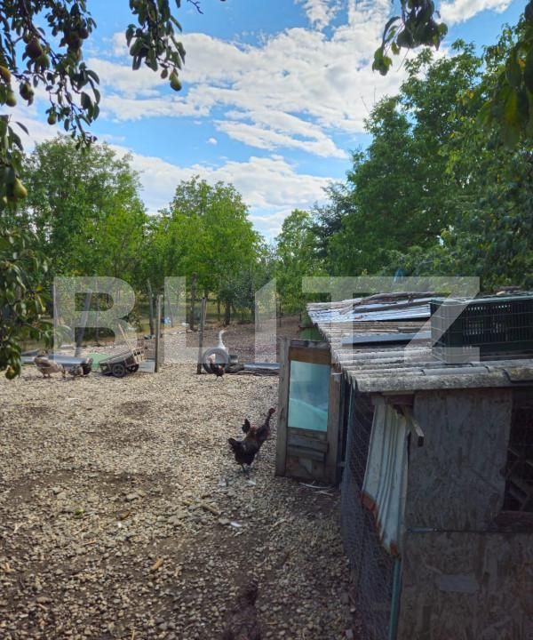 Casa de vânzare 4 camere Racari - 157482CV | BLITZ Târgoviște | Poza5