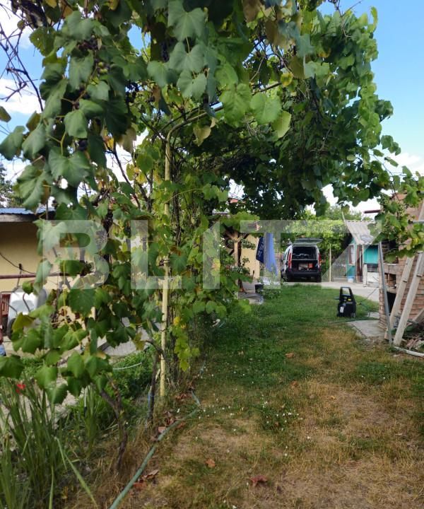 Casa de vânzare 4 camere Racari - 157482CV | BLITZ Târgoviște | Poza19