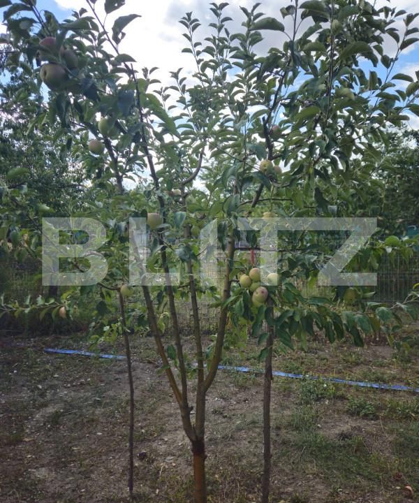 Casa de vânzare 4 camere Racari - 157482CV | BLITZ Târgoviște | Poza22