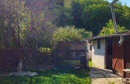  Casă spațioasă cu livadă, într-o zonă liniștiă la 20 km de Târgoviște