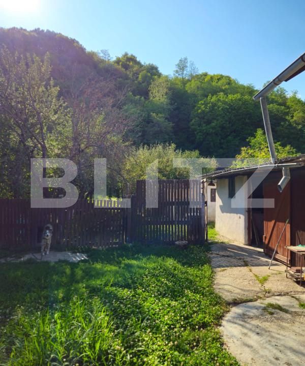 Casa de vânzare 4 camere Branesti - 157483CV | BLITZ Târgoviște | Poza4