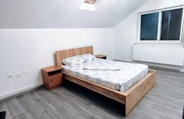 Vila deosebita pentru familie Dragodana 