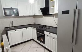 Vila deosebita pentru familie Dragodana 