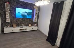 Vila deosebita pentru familie Dragodana 