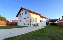 Vila deosebita pentru familie Dragodana 