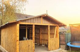 Vila deosebita pentru familie Dragodana 