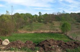 Teren intravilan/extravilan