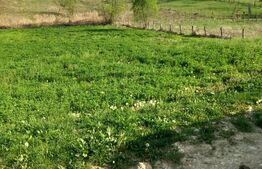 Teren intravilan/extravilan