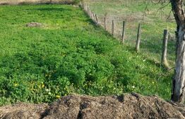 Teren intravilan/extravilan