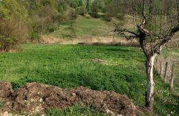 Teren intravilan/extravilan