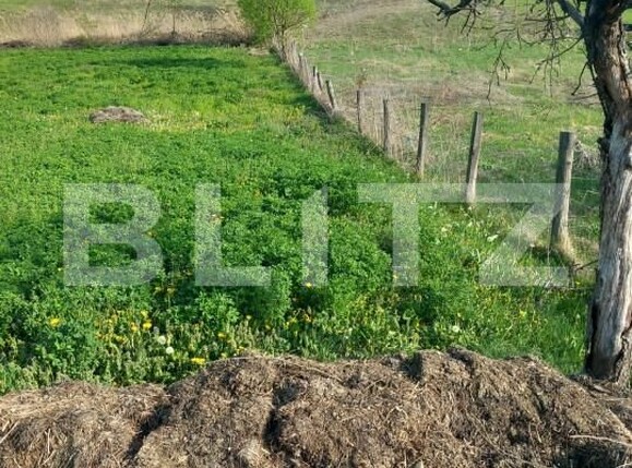 Teren de vânzare Exterior Nord - 158110TV | BLITZ Târgoviște | Poza5