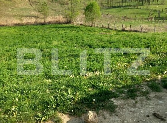 Teren de vânzare Vulcana-Pandele - 158110TV | BLITZ Târgoviște | Poza3