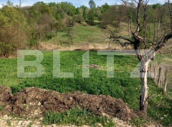 Teren de vânzare Exterior Nord - 158110TV | BLITZ Târgoviște | Poza6