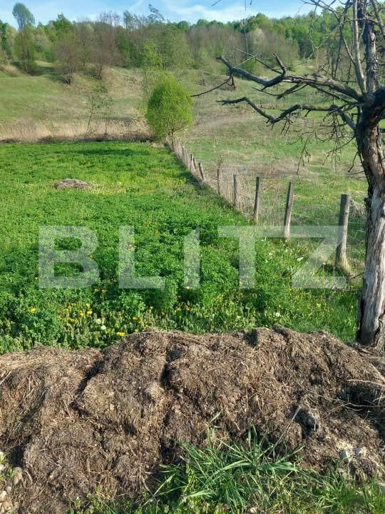 Teren de vânzare Vulcana-Pandele - 158110TV | BLITZ Târgoviște | Poza5