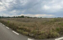 Teren intravilan/extravilan, 1500 mp, Cazaci