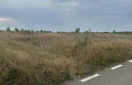 Teren intravilan/extravilan, 1500 mp, Cazaci