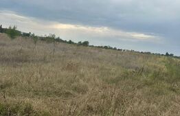 Teren intravilan/extravilan, 1500 mp, Cazaci