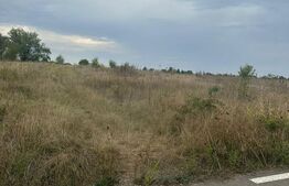 Teren intravilan/extravilan, 1500 mp, Cazaci