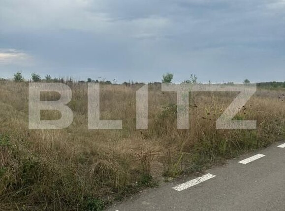 Teren de vânzare Sud - 158486TV | BLITZ Târgoviște | Poza4