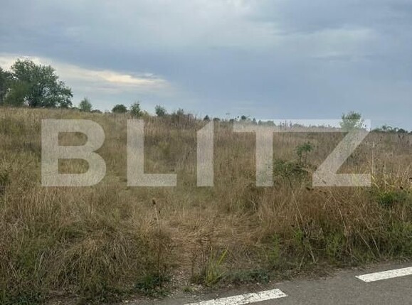 Teren de vânzare Sud - 158486TV | BLITZ Târgoviște | Poza1