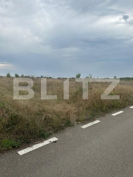 Teren de vânzare Sud - 158486TV | BLITZ Târgoviște | Poza4