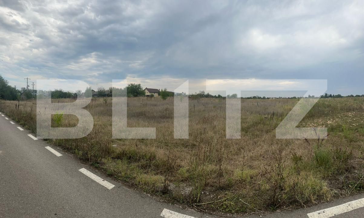 Teren de vânzare Sud - 158486TV | BLITZ Târgoviște | Poza2