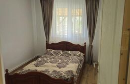 Vila ideala pentru familie, Ulmi