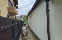 Vila ideala pentru familie, Ulmi