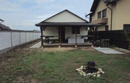 Vila ideala pentru familie, Ulmi