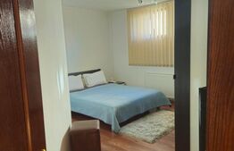 Oportunitate Unică  Vilă de Vis în Zona Centrala si doua spatii comerciale 