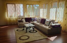 Oportunitate Unică  Vilă de Vis în Zona Centrala si doua spatii comerciale 