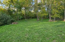 Teren Extravilan in Moreni 