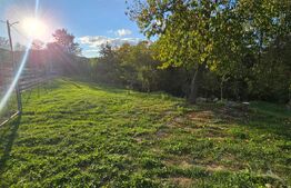 Teren Extravilan in Moreni 