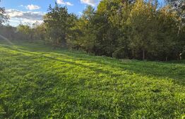 Teren Extravilan in Moreni 